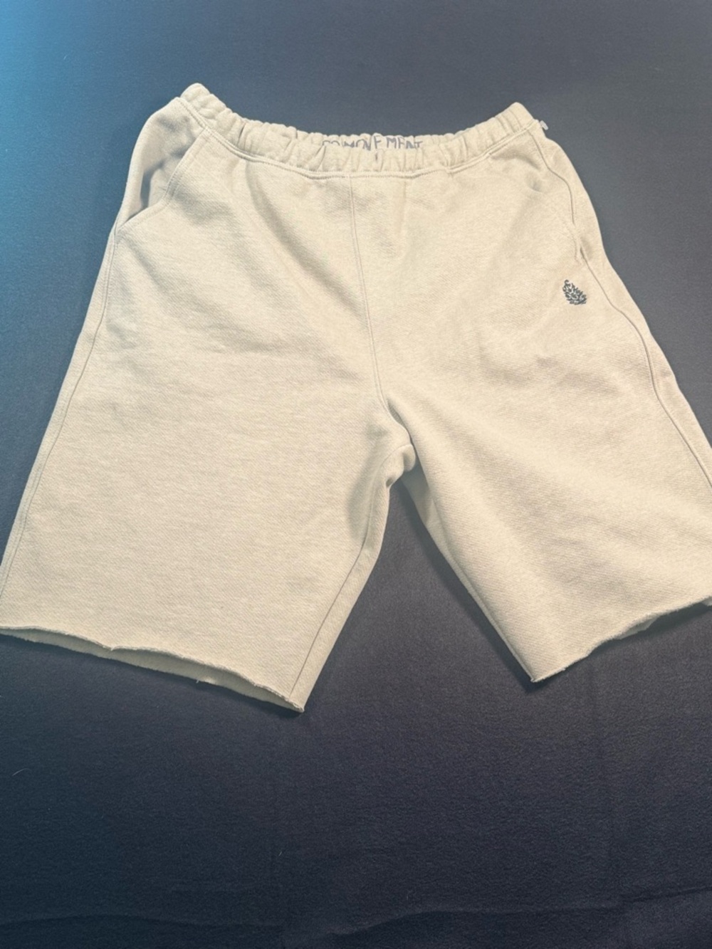 Free People Light Cream For the Wing Long Shorts - Picture 7 of 9